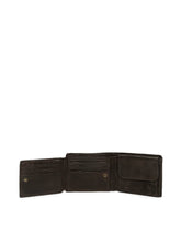 Dark Brown,2