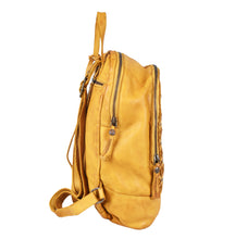 Mustard,2