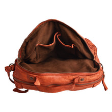 Terracotta,5