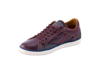 Brown,2