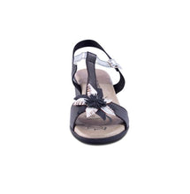 Black,3