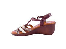 Brown,2