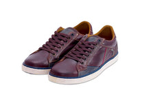 Brown,1