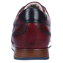 Brown,2
