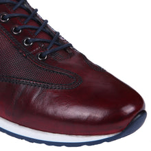 Brown,3