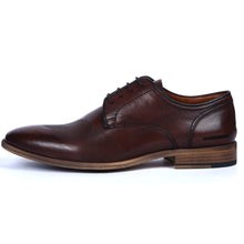 Brown,1
